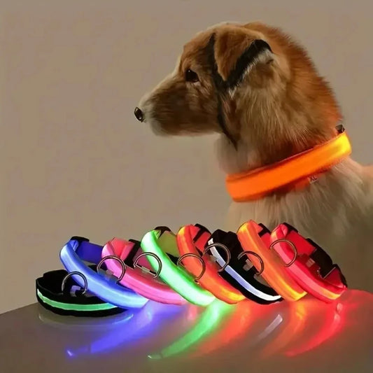 Nylon LED Glow-in-the-Dark Dog Leash
